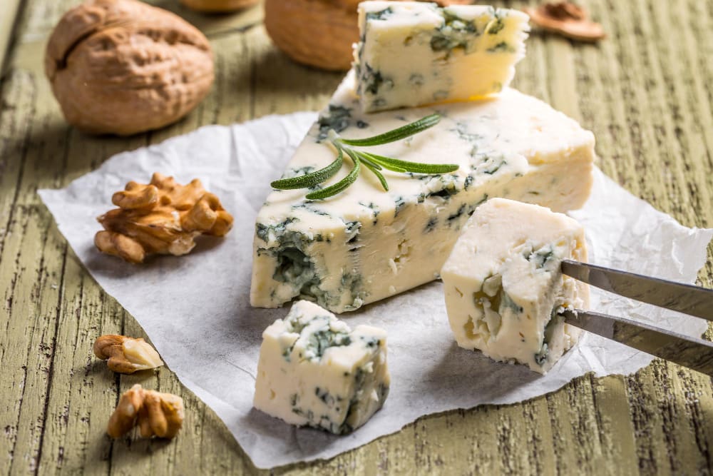 fromage-moisissure-bleu-auvergne-août